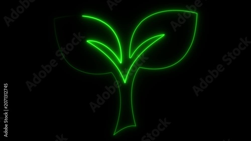 Plant growth continuous one line art 4k animation video on black background