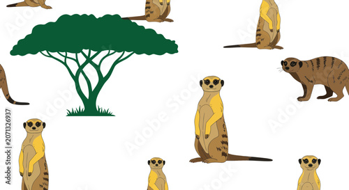 Meerkats standing and walking around a green acacia tree