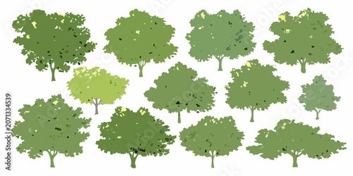 Canvas-taulu Collection Of Green Trees In Watercolor Style Isolated On White Background folia