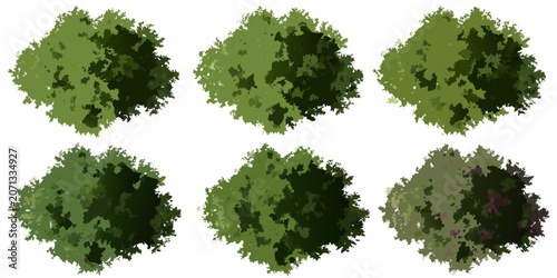 Tableau sur toile Collection Of Tree Canopies Watercolor Style On White Background arboreal botani