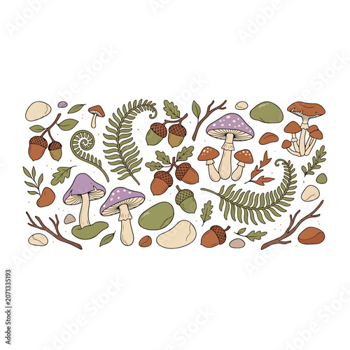 Colorful mushrooms and forest elements illustration.