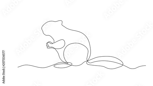 Billede på lærred Continuous line drawing of a beaver sitting and eating on a white background, si