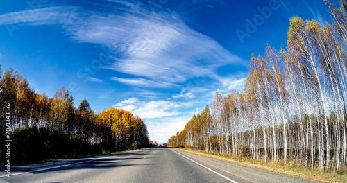 view of the autumn road from the windshield of a suburban car