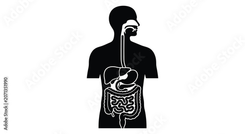 Φωτογραφία Human Digestive System Silhouette Against White Background