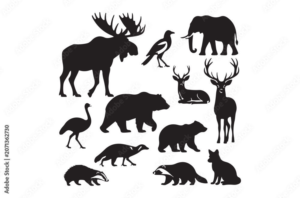 Fototapeta premium Animal Silhouettes Black Wildlife Shapes On A White Background