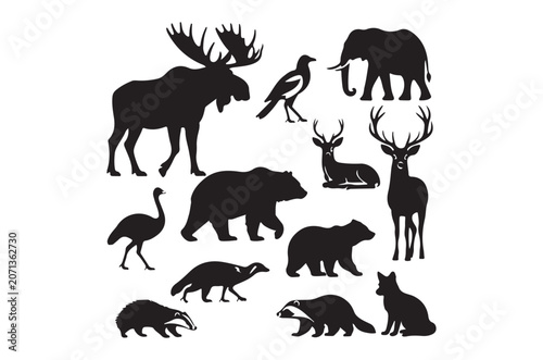 Animal Silhouettes Black Wildlife Shapes On A White Background