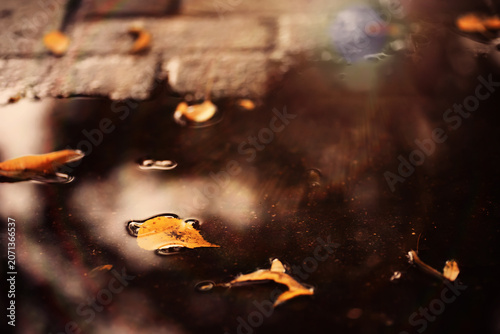 Obraz na plátne Beautiful Nature Autumn landscape