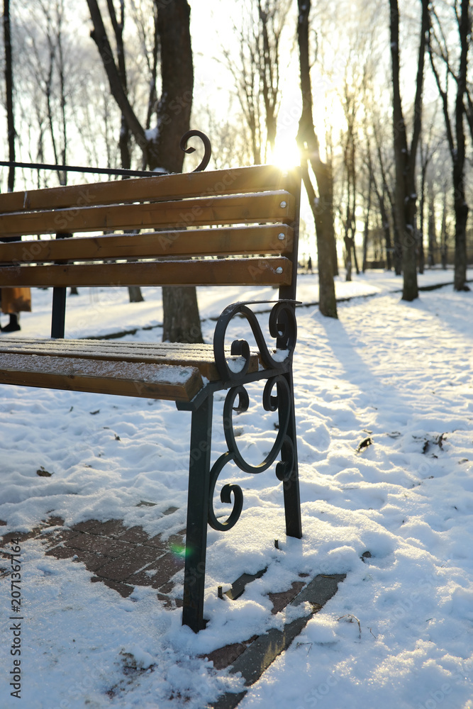 Fototapeta premium park bench on a winter alley at snowfall. bench with snow after snowstorm or in snow calamity in europe
