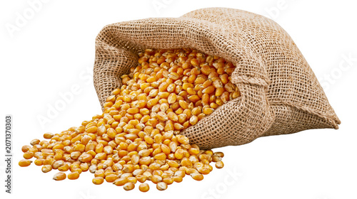 Bild auf Leinwand Burlap sack overflowing with golden corn kernels, isolated on transparent backgr