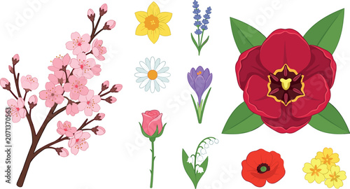 Canvastavla Spring Flowers Vector Element Set Featuring Cherry Blossom Branch Tulip Daffodil