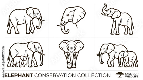 Photography Black and white elephant line drawings.