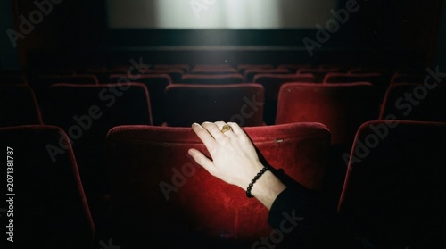 Cinema Audience Perspective