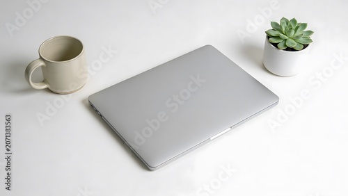 Minimalist workspace with laptop, coffee mug, and succulent plant on a white desk.