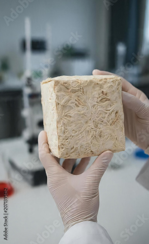Professional researcher in protective gloves examining a cube of oriented strand board for material science testing in a laboratory