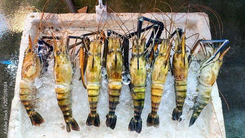 Foto Fresh giant river prawns displayed on crushed ice at Ang Sila seafood market, Chonburi, Thailand