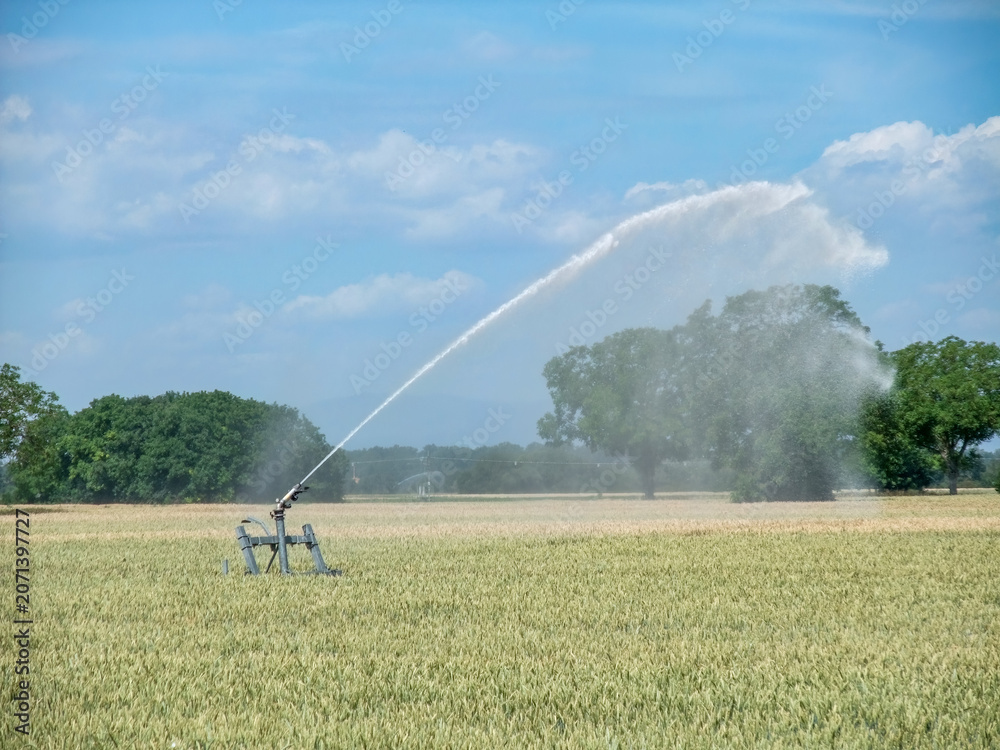 Obraz premium Agricultural Irrigation System