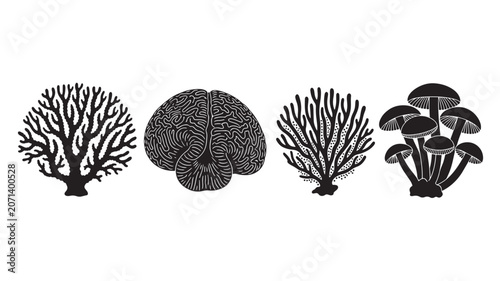 Black and white illustration of three different mushroom species on white background.