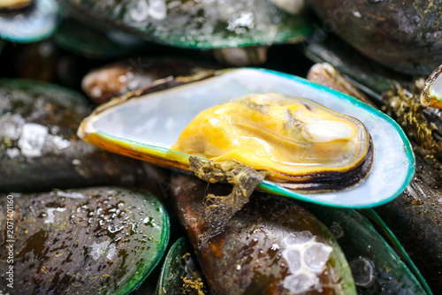 A close-up view of fresh Asian green mussels opened on the half shell, showcasing the meat on a pile of whole mussels at a market display.