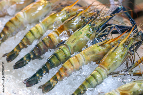 Fotografie Fresh giant freshwater prawns arranged diagonally on crushed ice at a seafood wet market display