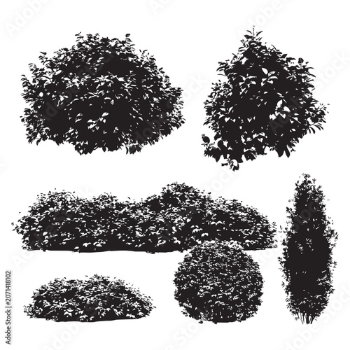 Schilderij op canvas Set of black silhouettes of bushes
