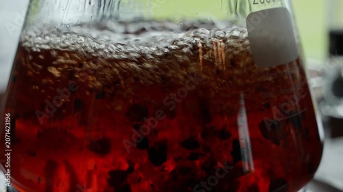 Fermentation vessel with botanicals and swirling red liquid, bubbles, gin distillation, alcohol production, laboratory glassware, infusion process, dynamic aromatic movement, vibrant botanical