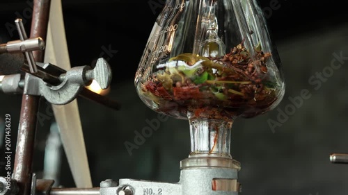 Distillation glass apparatus for botanical spice herb gin alcohol laboratory science extraction, aromatic transparent equipment chemistry process, flavor infusion, clear liquid experiment