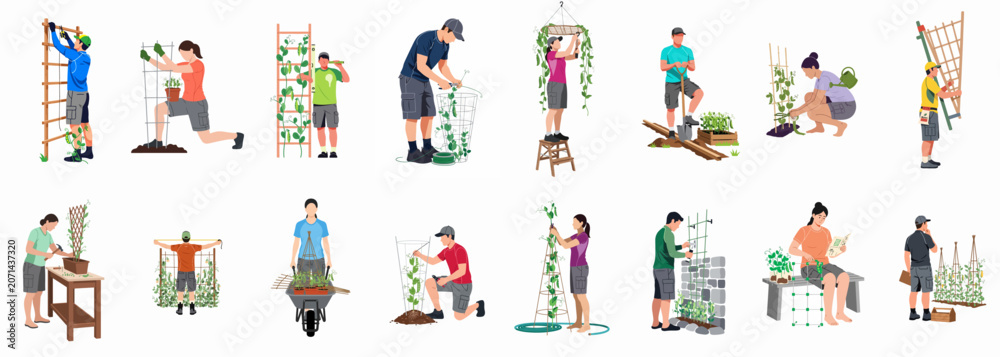 Fototapeta premium Collection of flat illustrations showing people building trellises and caring for climbing plants in a vertical garden setting.
