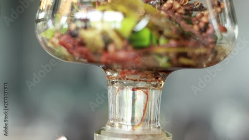 Herb spice botanical infusion glass distillation alcohol gin closeup aromatic transparent liquid extract flavor ingredient beverage process macro green red brown seed leaf natural craft drink gin