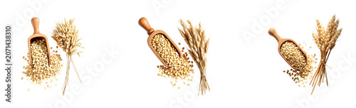 A wooden scoop filled with rolled oats is positioned on the left side of a transparent background