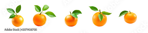 A close-up, studio shot features a single, ripe orange with a textured rind, positioned slightly off-center to the right