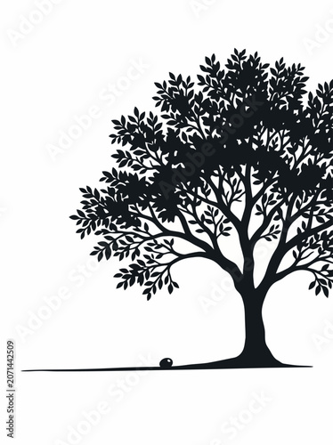 Black and White Silhouette of a Large Leafy Tree with a Fallen Fruit