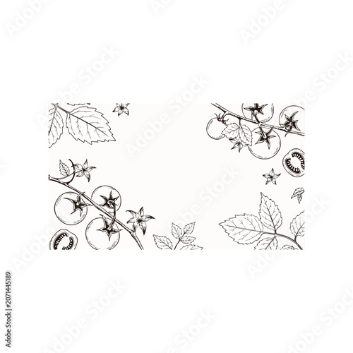 Vintage botanical line art background featuring cherry tomatoes on the vine, leaves, and flowers with copy space.