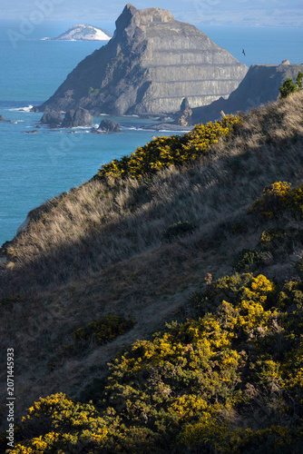 Natural scenery of a coastal cliff