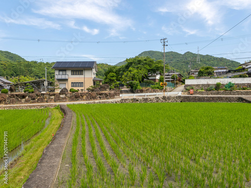 猪名川町の田園風景