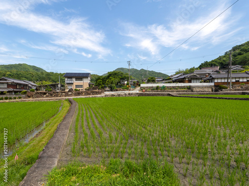猪名川町の田園風景