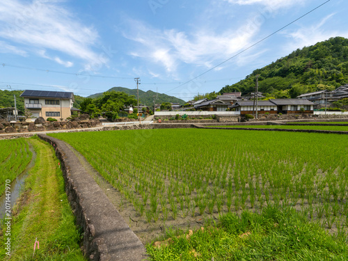 猪名川町の田園風景