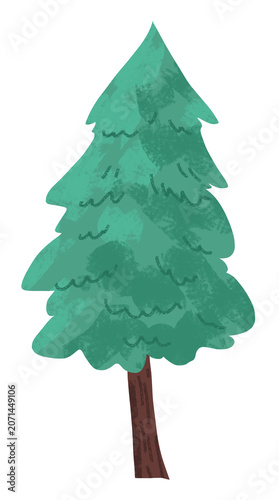 illustration of a pine tree