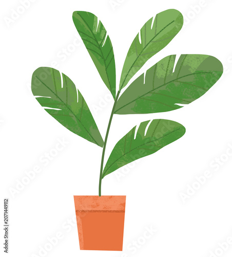 illustration of a potted plant