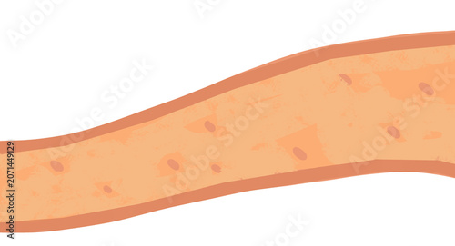 Illustrate the route