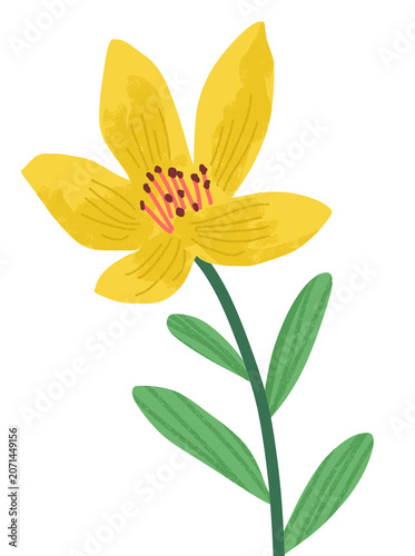 illustration of a yellow flower