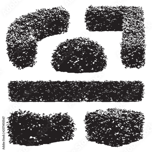 Fotografía Set of shrubbery in different shapes for landscape design