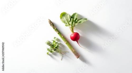 Premium Luxury Fresh Vegetables Selection Featuring Organic Radish Asparagus and Microgreens for Gourmet Culinary Kitchen Preparation