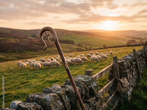 Shepherd Staff Sunset Sheep Field