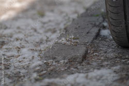 Foto Poplar Fluff Accumulated Along Road Curb Near Parked Car During Summer Season