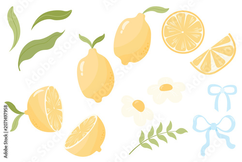 Lemon Vector Set with Leaves, Flower and Ribbon, Summer Fruit Illustration flat design