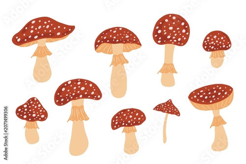 Tableau sur toile Hand drawn set of fly agaric mushrooms