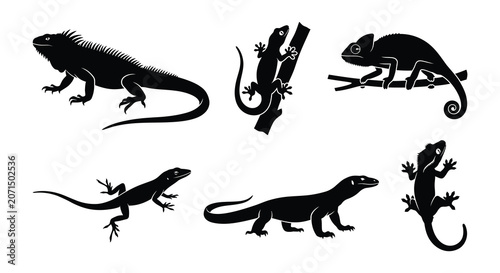 Quadro su tela Lizard silhouettes black vector illustration on a white background