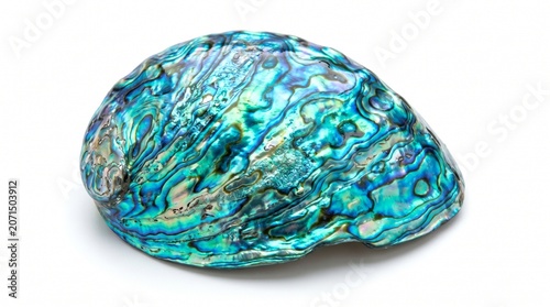 Iridescent abalone seashell with shimmering blue and green colors, seashell