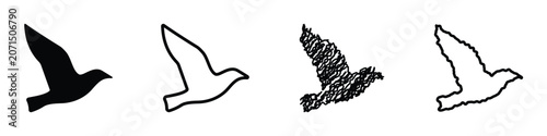 Fotografie A collection of four distinct bird outlines, ranging from solid silhouette to sk