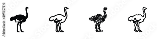 Obraz na płótnie A set of four distinct ostrich illustrations, ranging from a solid silhouette to